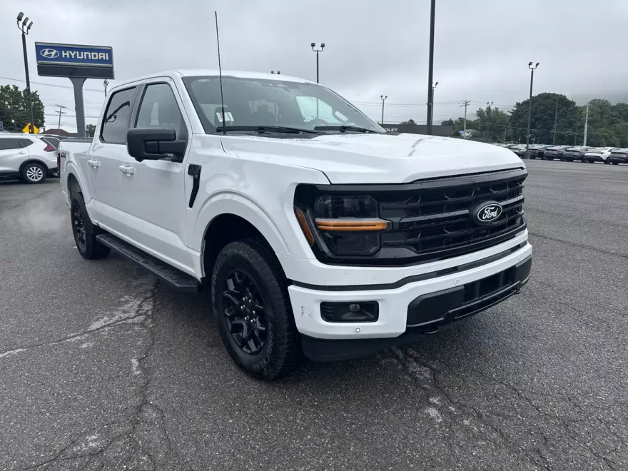 2024 Ford F-150 XLT photo 1