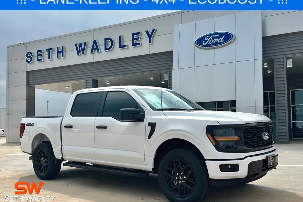 2025 Ford F-150 STX photo 1