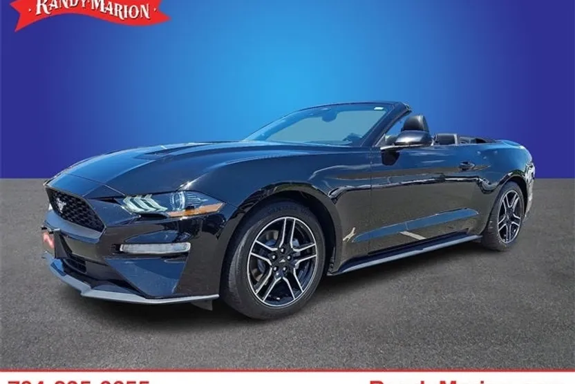 2023 Ford Mustang EcoBoost Premium photo 1