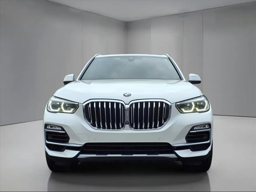 2019 Bmw X5 xDrive50i photo 1