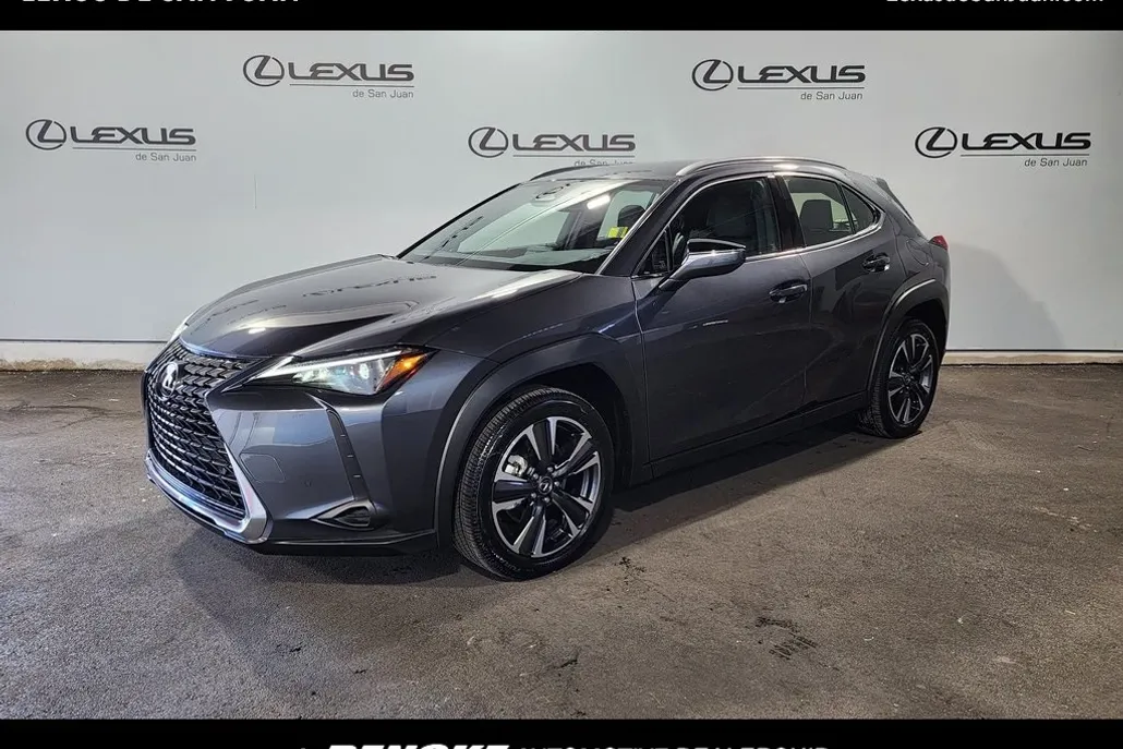 2025 Lexus UX photo 1