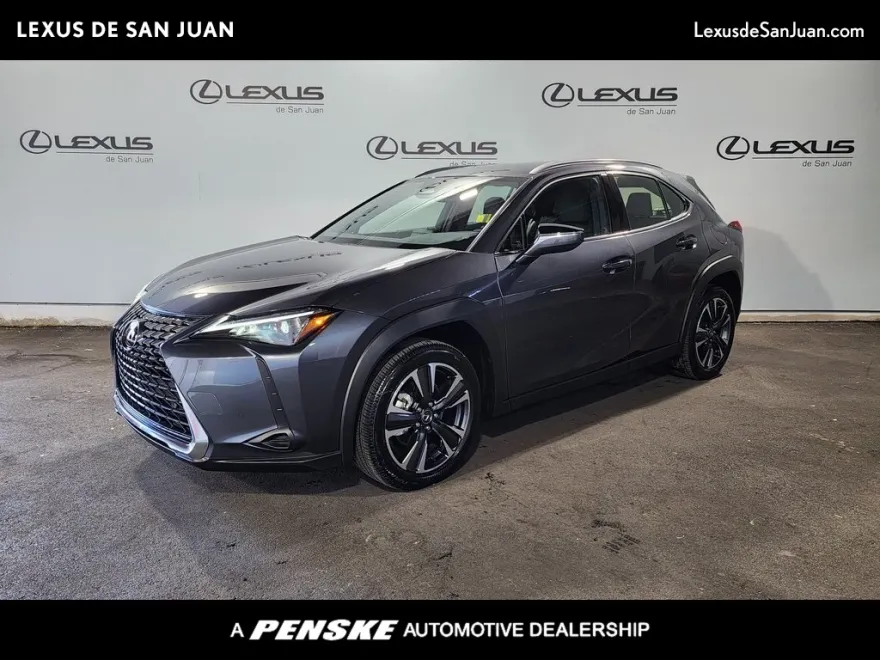2025 Lexus UX photo 1