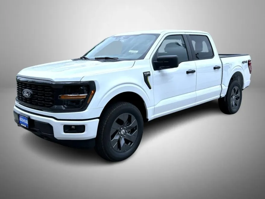 2025 Ford F-150 STX photo 1