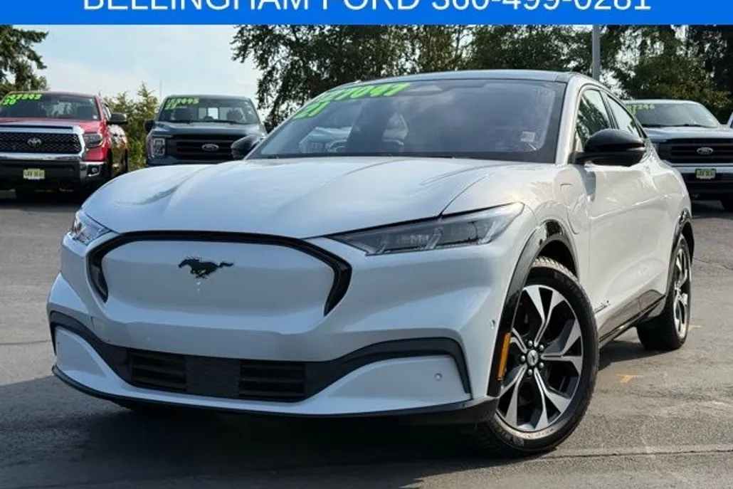 2021 Ford Mustang Mach-E Premium photo 1