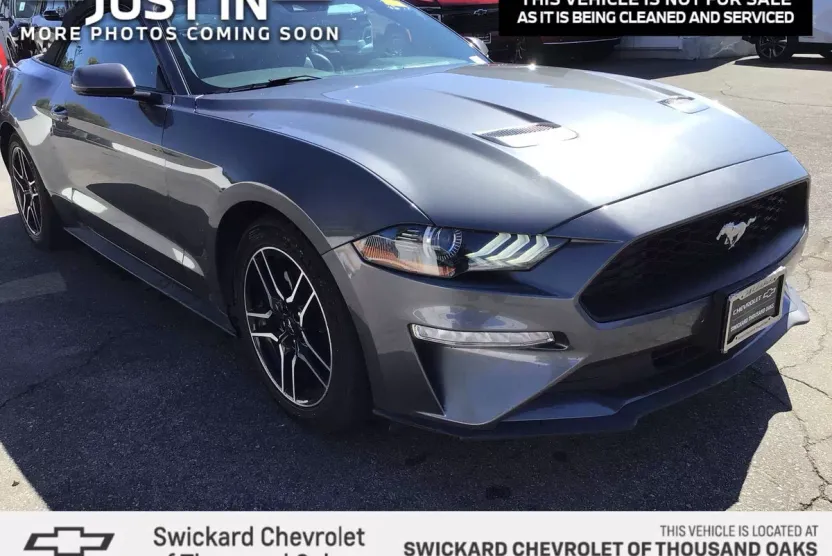 2023 Ford Mustang EcoBoost Premium photo 1
