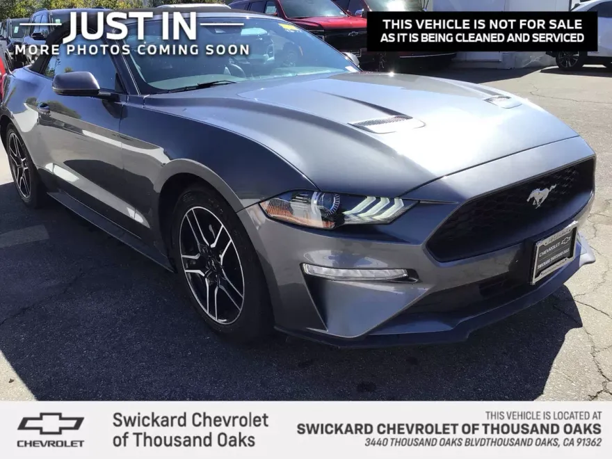 2023 Ford Mustang EcoBoost Premium photo 1