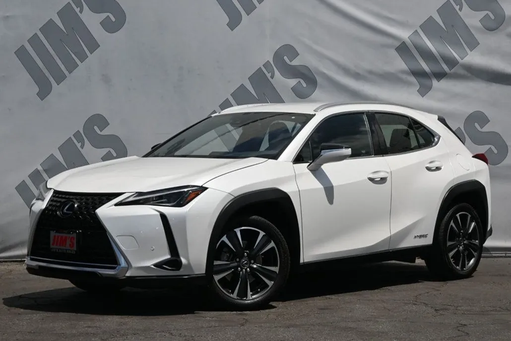 2021 Lexus UX 250h photo 1