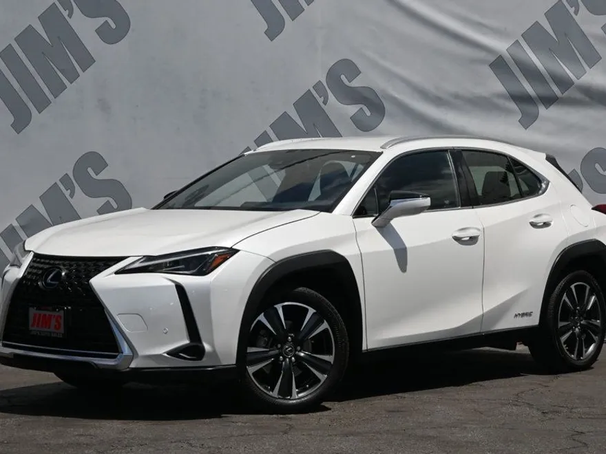2021 Lexus UX 250h photo 1