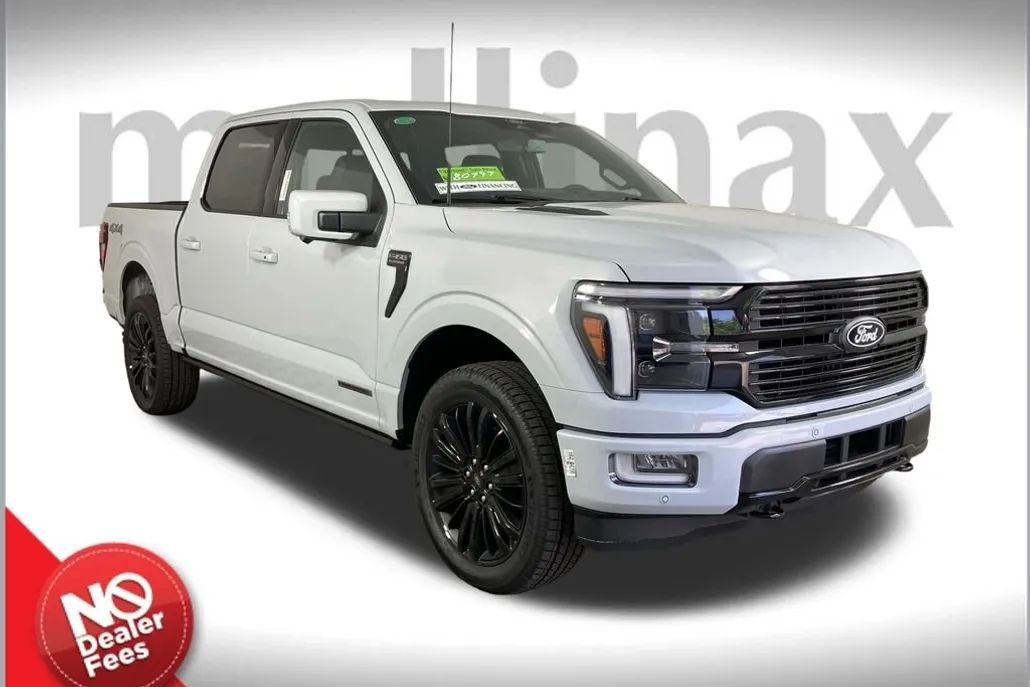 2025 Ford F-150 Platinum photo 1