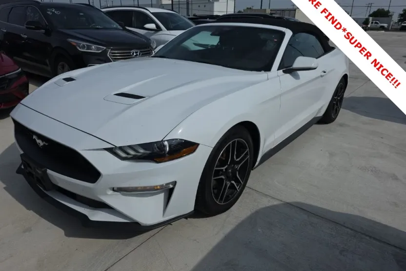 2023 Ford Mustang EcoBoost Premium photo 1
