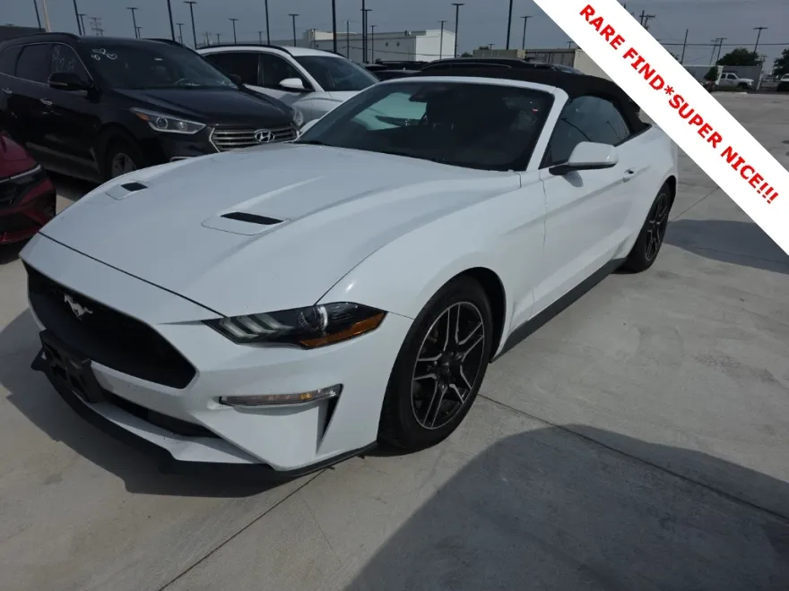 2023 Ford Mustang EcoBoost Premium photo 1