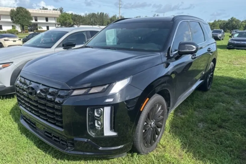 2024 Hyundai Palisade Calligraphy photo 1