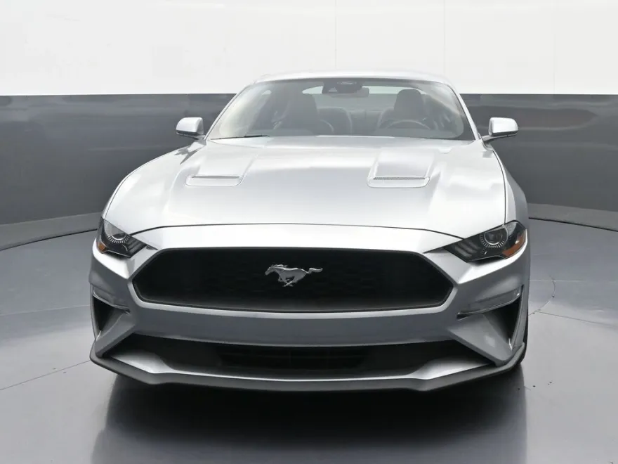 2023 Ford Mustang EcoBoost Premium photo 1