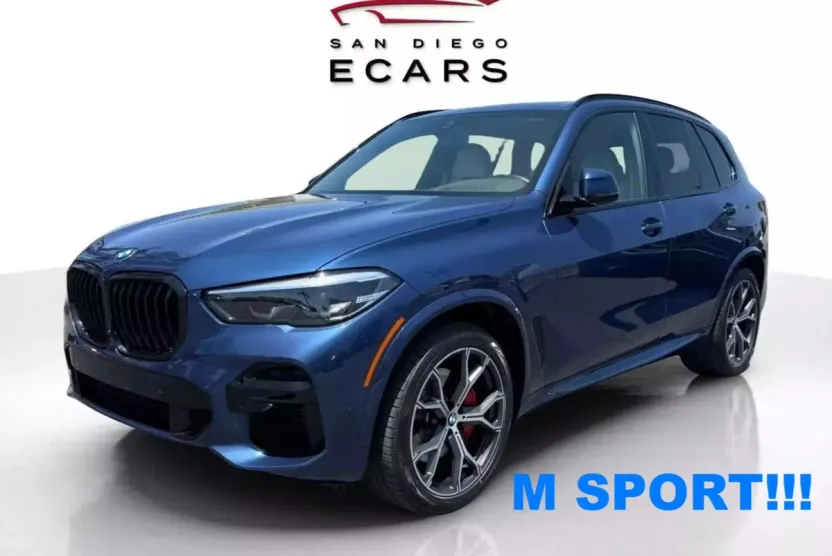2022 Bmw X5 sDrive40i photo 1