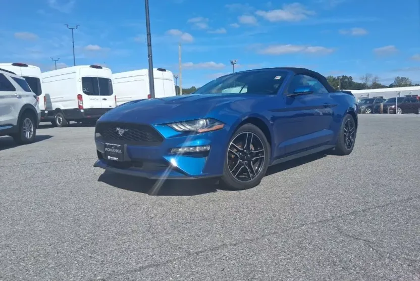 2023 Ford Mustang EcoBoost Premium photo 1
