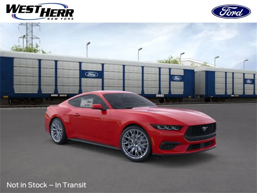 2025 Ford Mustang EcoBoost Premium photo 1