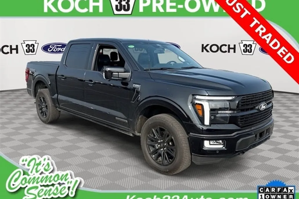 2024 Ford F-150 Platinum photo 1