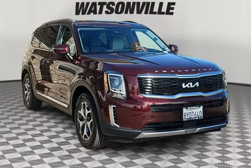 2022 Kia Telluride EX photo 1
