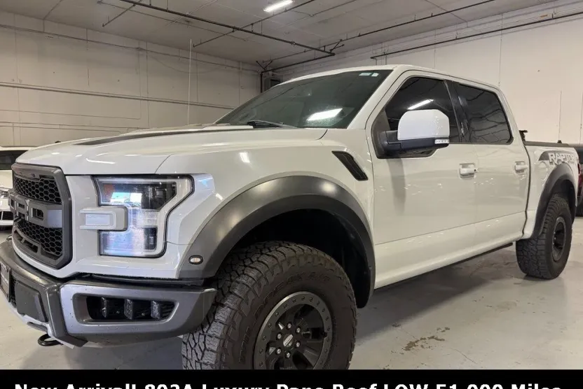 2017 Ford F-150 Raptor photo 1