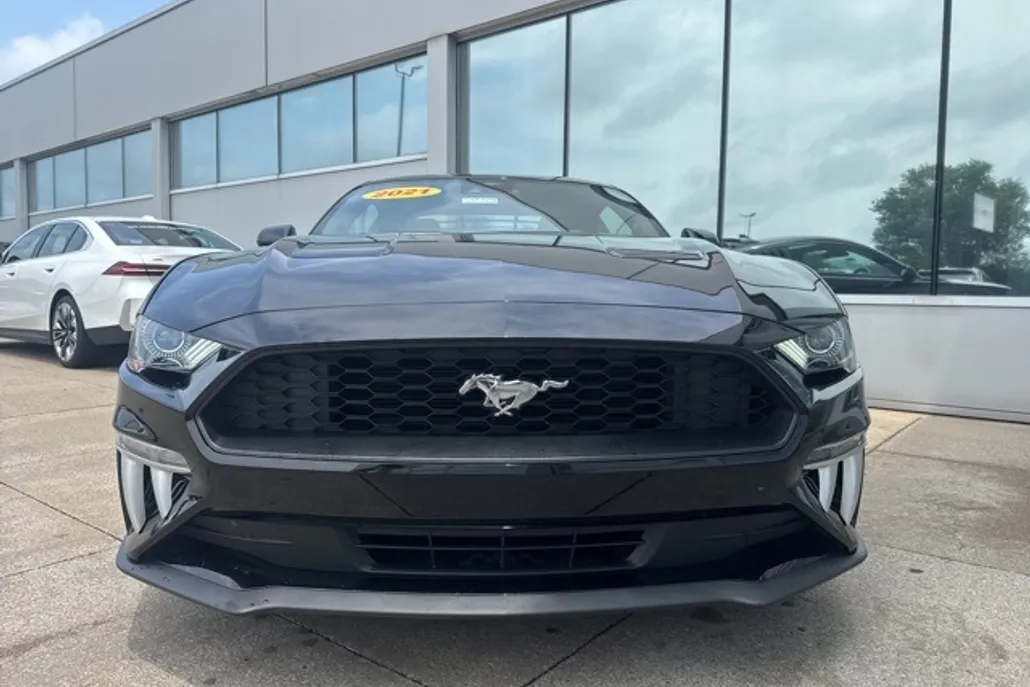 2021 Ford Mustang EcoBoost photo 1