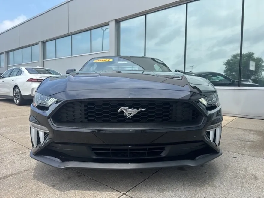2021 Ford Mustang EcoBoost photo 1