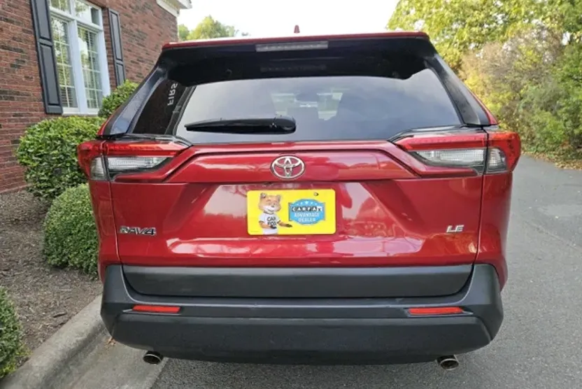 2019 Toyota RAV4 LE photo 1