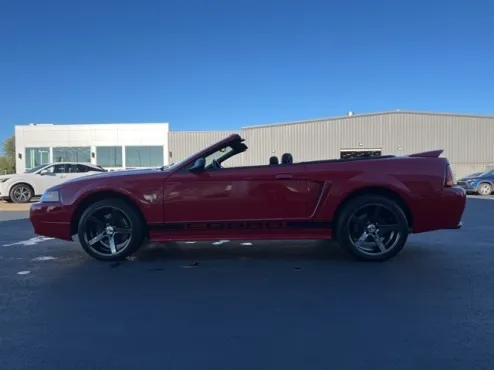 1999 Ford Mustang Cobra Convertible photo 4