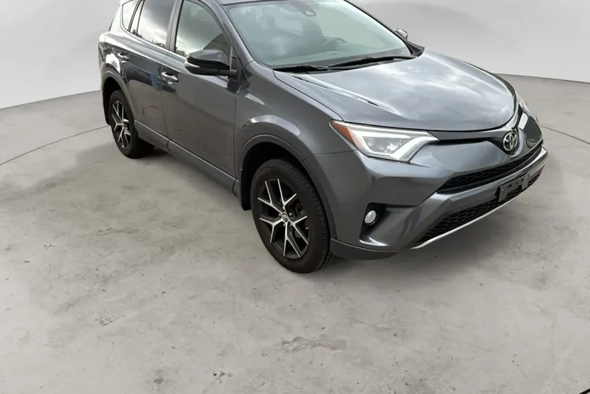 2018 Toyota RAV4 SE photo 1