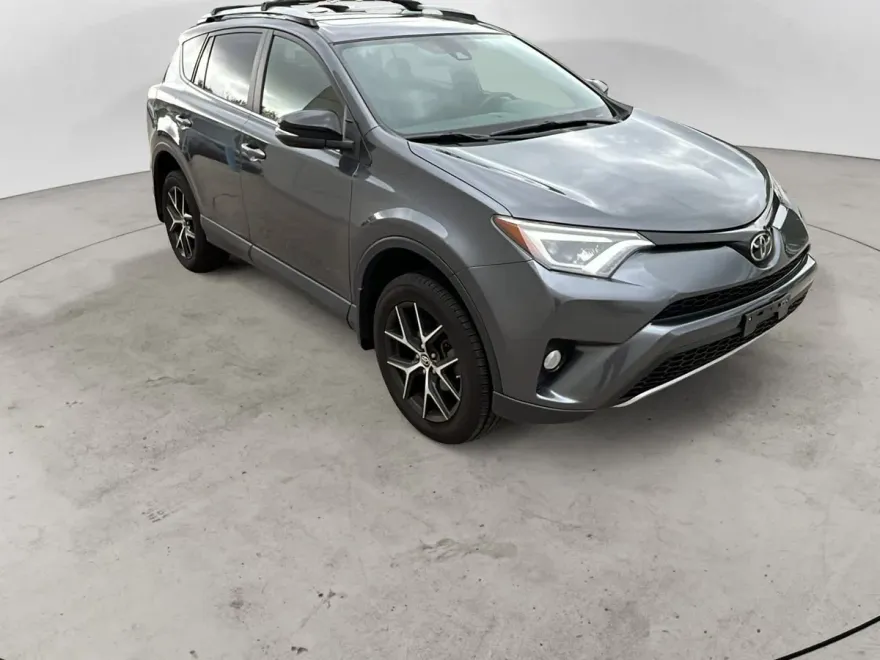 2018 Toyota RAV4 SE photo 1