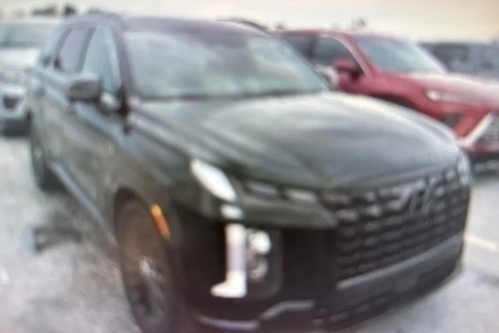2024 Hyundai Palisade Calligraphy photo 1