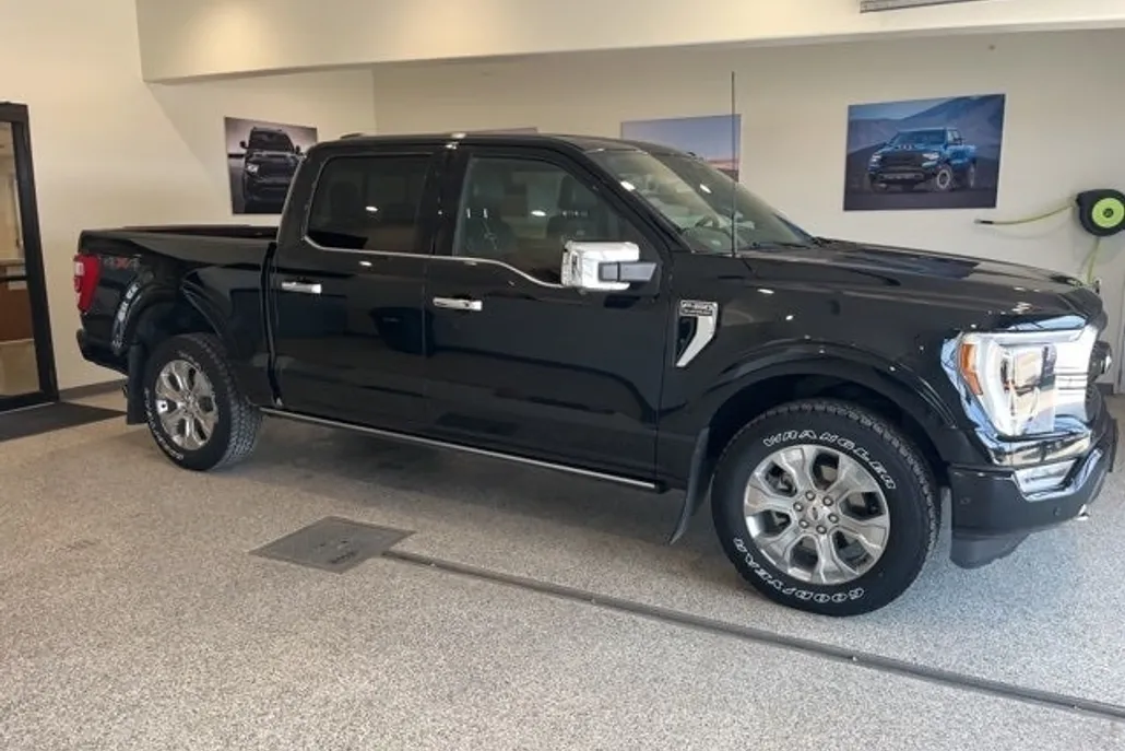 2022 Ford F-150 Platinum photo 1
