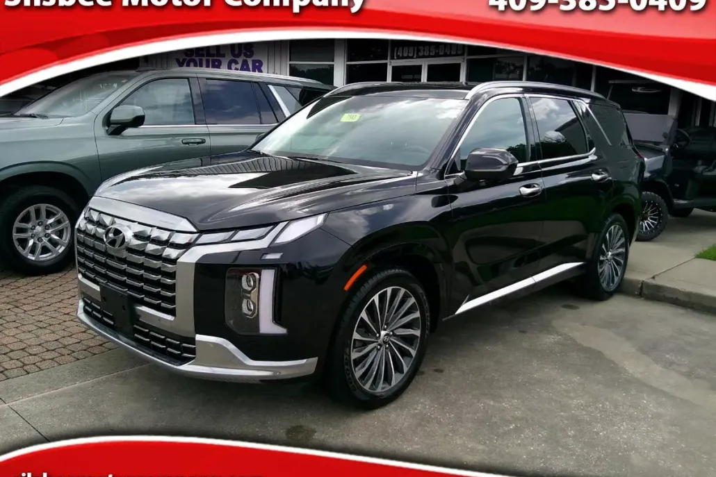 2024 Hyundai Palisade Calligraphy photo 1