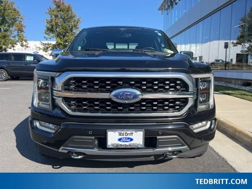 2021 Ford F-150 Platinum photo 1