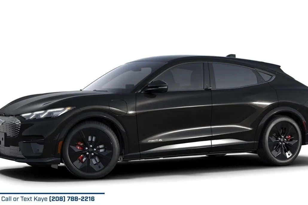 2025 Ford Mustang Mach-E GT photo 1