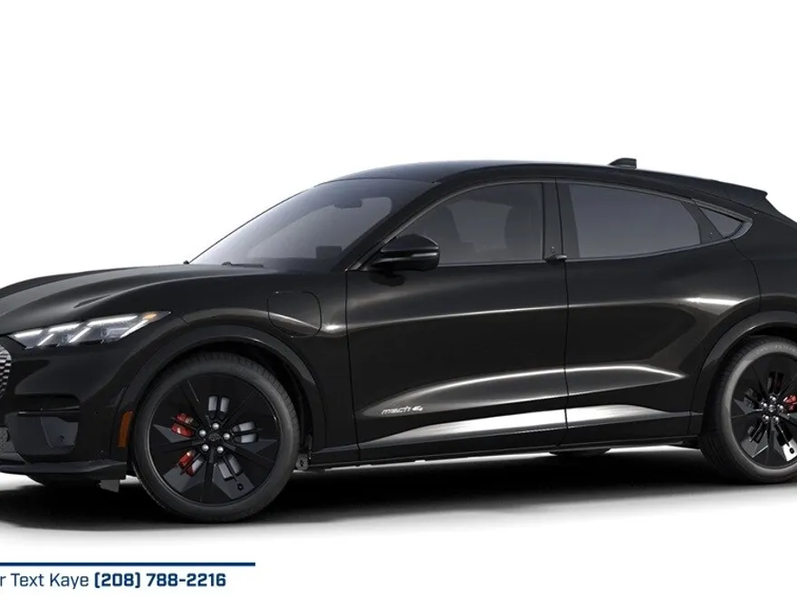 2025 Ford Mustang Mach-E GT photo 1