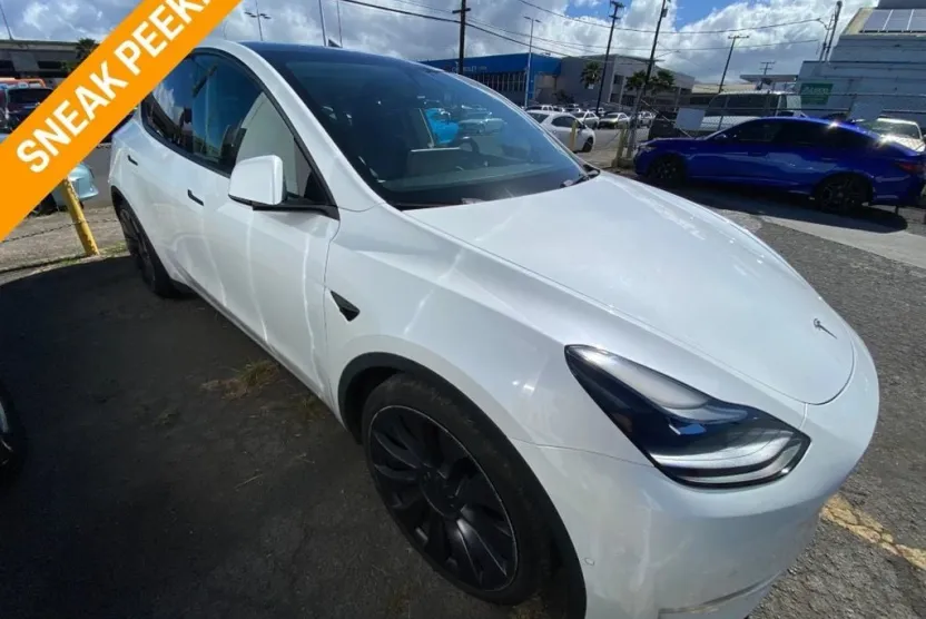 2021 Tesla Model Y Performance photo 1