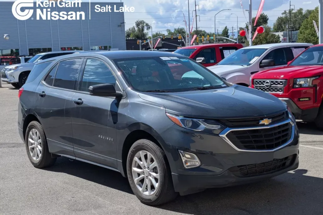 2018 Chevrolet Equinox LS photo 1