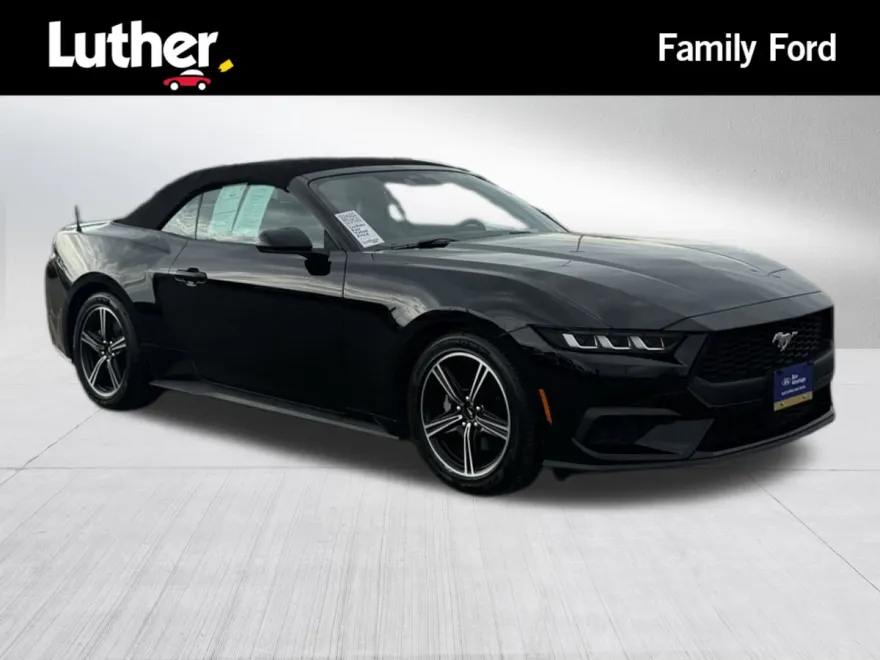 2024 Ford Mustang EcoBoost Premium Convertible photo 1