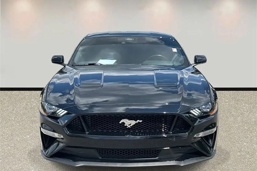 2022 Ford Mustang GT photo 1