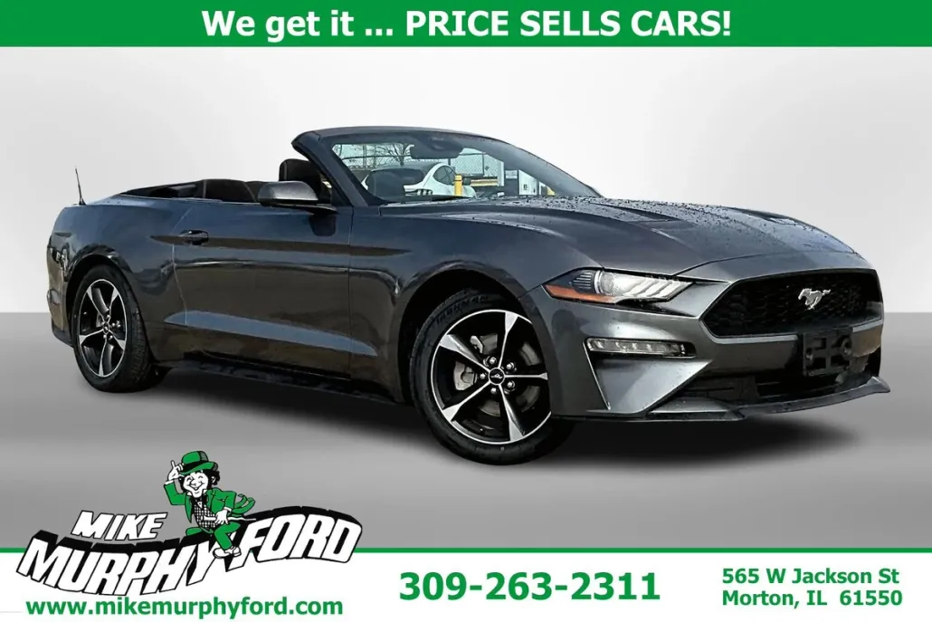 2022 Ford Mustang EcoBoost Convertible photo 1