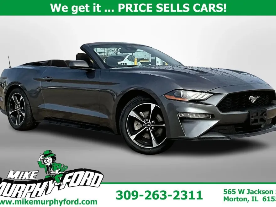 2022 Ford Mustang EcoBoost Convertible photo 1