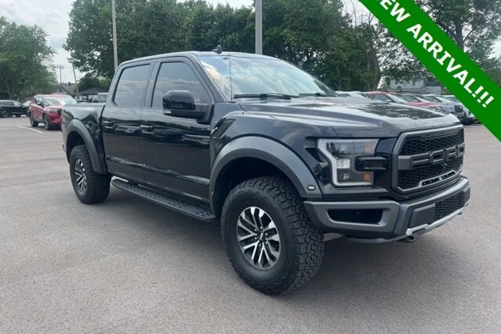 2020 Ford F-150 Raptor photo 1