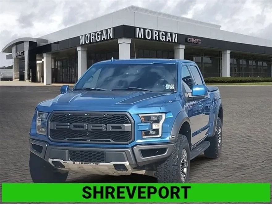 2019 Ford F-150 Raptor photo 1