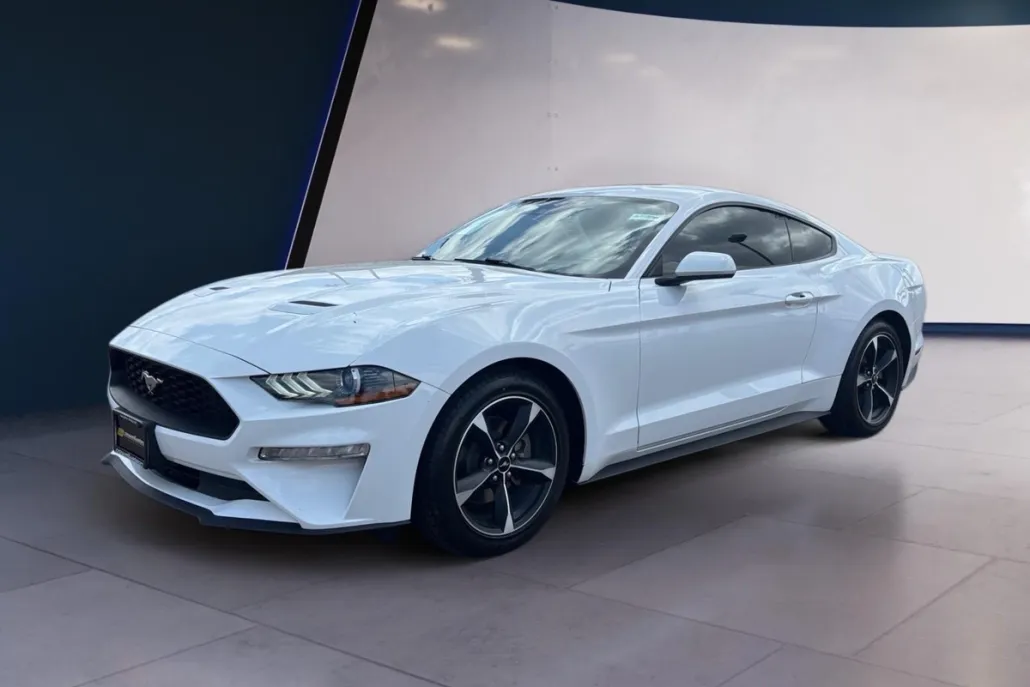 2023 Ford Mustang EcoBoost photo 1