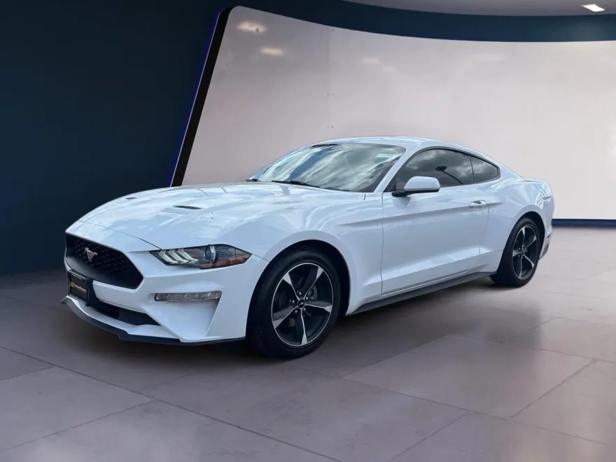 2023 Ford Mustang EcoBoost photo 1