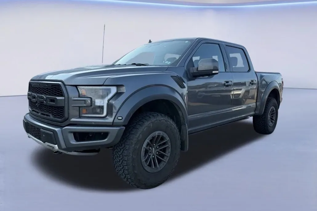 2019 Ford F-150 Raptor photo 1