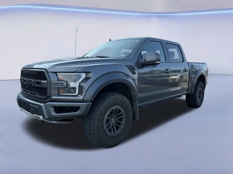 2019 Ford F-150 Raptor photo 1