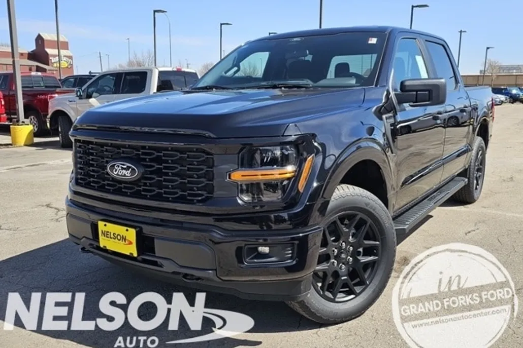 2025 Ford F-150 STX photo 1