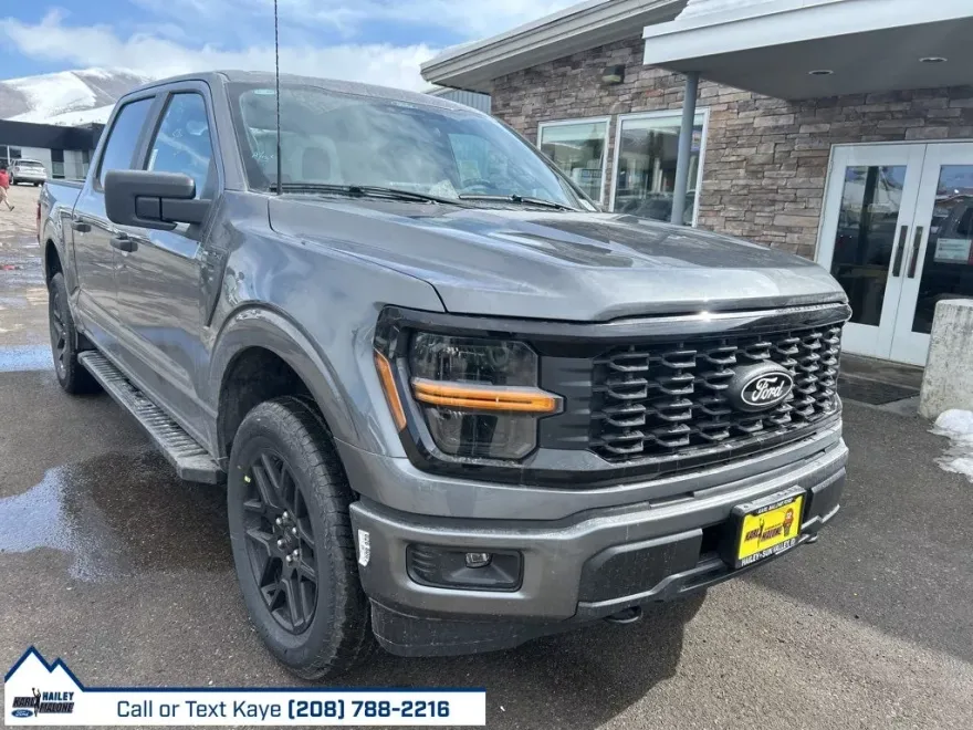 2025 Ford F-150 STX photo 1