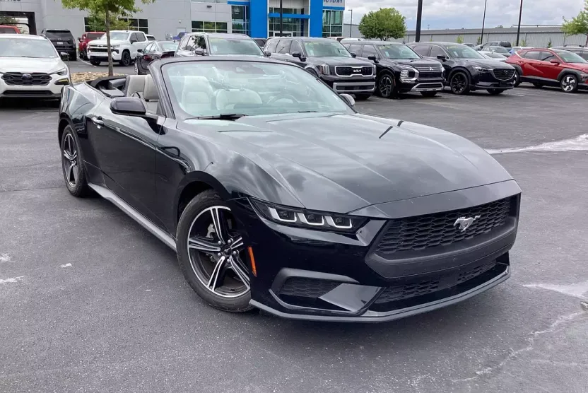2024 Ford Mustang EcoBoost Convertible photo 1